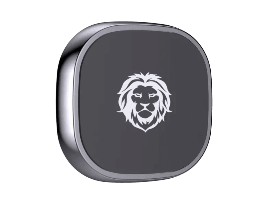 Buy Green Lion Magnetic Car Phone Holder – in Qatar Buy Green Lion Magnetic Car Phone Holder – in Qatar